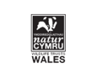 Wildlife Trusts Wales